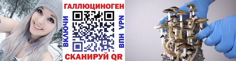 Галлюциногенные грибы мухоморы  мориарти клад  Ленск  гидра онион 